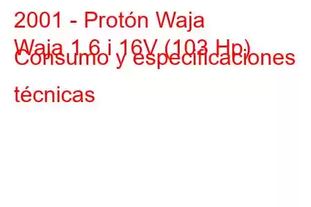 2001 - Protón Waja
Waja 1.6 i 16V (103 Hp) Consumo y especificaciones técnicas