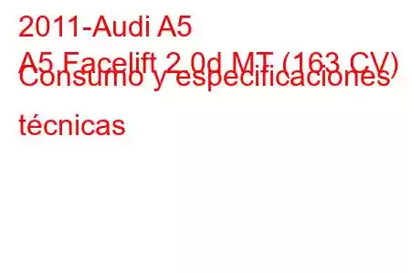 2011-Audi A5
A5 Facelift 2.0d MT (163 CV) Consumo y especificaciones técnicas