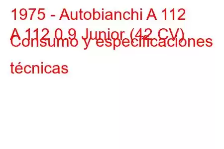 1975 - Autobianchi A 112
A 112 0.9 Junior (42 CV) Consumo y especificaciones técnicas