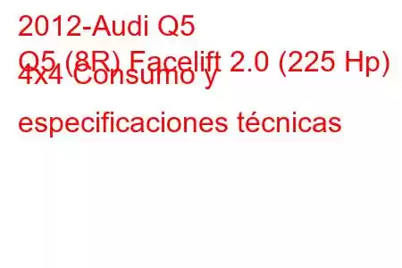 2012-Audi Q5
Q5 (8R) Facelift 2.0 (225 Hp) 4x4 Consumo y especificaciones técnicas