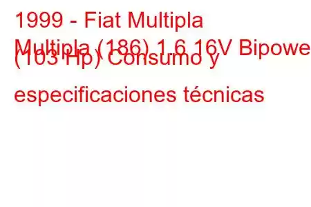 1999 - Fiat Multipla
Multipla (186) 1.6 16V Bipower (103 Hp) Consumo y especificaciones técnicas