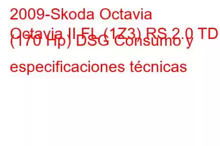 2009-Skoda Octavia
Octavia II FL (1Z3) RS 2.0 TDI (170 Hp) DSG Consumo y especificaciones técnicas