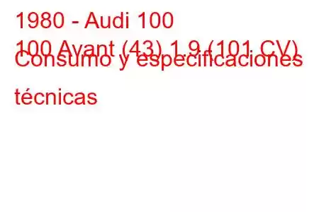 1980 - Audi 100
100 Avant (43) 1.9 (101 CV) Consumo y especificaciones técnicas