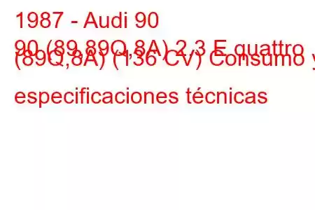 1987 - Audi 90
90 (89,89Q,8A) 2.3 E quattro (89Q,8A) (136 CV) Consumo y especificaciones técnicas