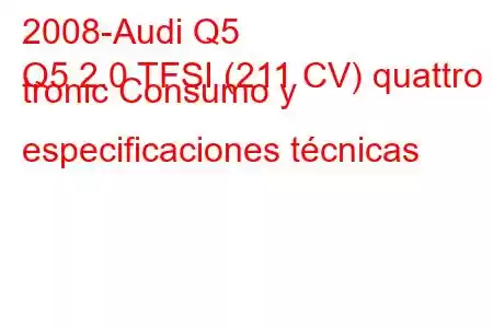 2008-Audi Q5
Q5 2.0 TFSI (211 CV) quattro S tronic Consumo y especificaciones técnicas