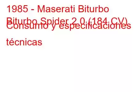 1985 - Maserati Biturbo
Biturbo Spider 2.0 (184 CV) Consumo y especificaciones técnicas