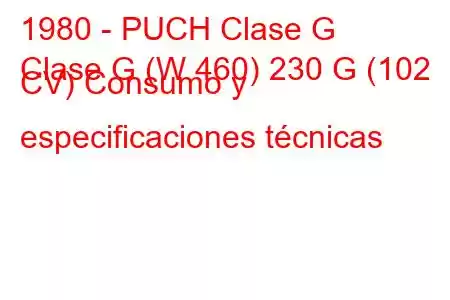 1980 - PUCH Clase G
Clase G (W 460) 230 G (102 CV) Consumo y especificaciones técnicas