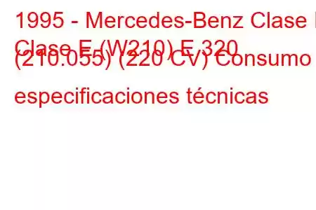 1995 - Mercedes-Benz Clase E
Clase E (W210) E 320 (210.055) (220 CV) Consumo y especificaciones técnicas