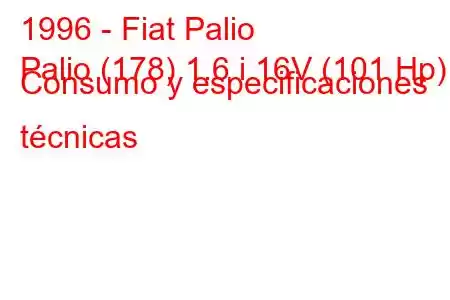 1996 - Fiat Palio
Palio (178) 1.6 i 16V (101 Hp) Consumo y especificaciones técnicas