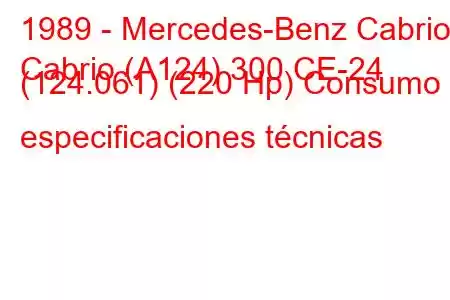 1989 - Mercedes-Benz Cabrio
Cabrio (A124) 300 CE-24 (124.061) (220 Hp) Consumo y especificaciones técnicas