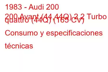 1983 - Audi 200
200 Avant (44,44Q) 2.2 Turbo quattro (44Q) (165 CV) Consumo y especificaciones técnicas