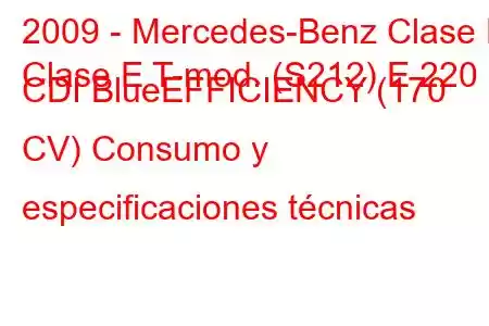 2009 - Mercedes-Benz Clase E
Clase E T-mod. (S212) E 220 CDI BlueEFFICIENCY (170 CV) Consumo y especificaciones técnicas