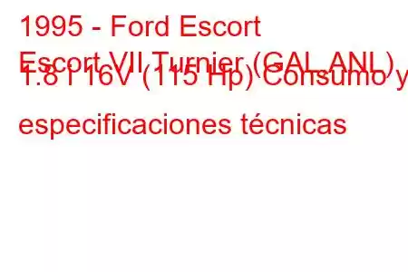 1995 - Ford Escort
Escort VII Turnier (GAL,ANL) 1.8 i 16V (115 Hp) Consumo y especificaciones técnicas