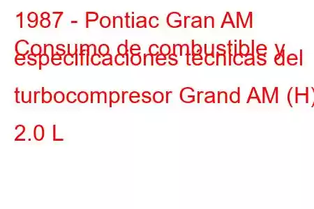 1987 - Pontiac Gran AM
Consumo de combustible y especificaciones técnicas del turbocompresor Grand AM (H) 2.0 L