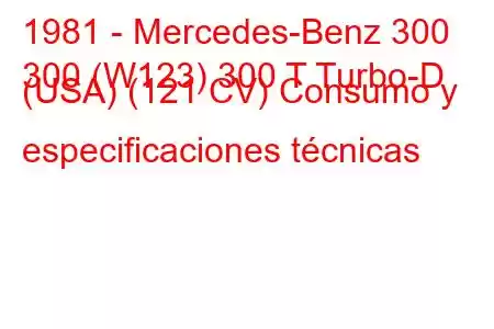 1981 - Mercedes-Benz 300
300 (W123) 300 T Turbo-D (USA) (121 CV) Consumo y especificaciones técnicas