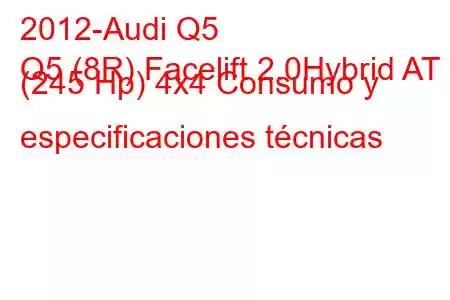 2012-Audi Q5
Q5 (8R) Facelift 2.0Hybrid AT (245 Hp) 4x4 Consumo y especificaciones técnicas