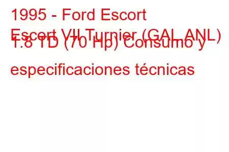 1995 - Ford Escort
Escort VII Turnier (GAL,ANL) 1.8 TD (70 Hp) Consumo y especificaciones técnicas