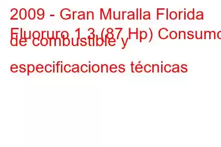 2009 - Gran Muralla Florida
Fluoruro 1.3 (87 Hp) Consumo de combustible y especificaciones técnicas