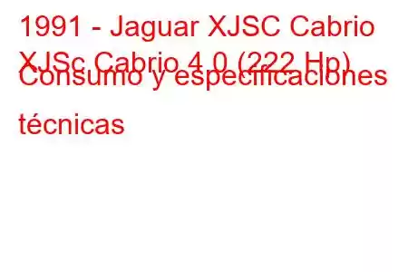 1991 - Jaguar XJSC Cabrio
XJSc Cabrio 4.0 (222 Hp) Consumo y especificaciones técnicas