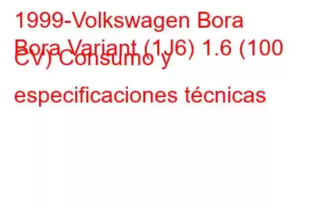 1999-Volkswagen Bora
Bora Variant (1J6) 1.6 (100 CV) Consumo y especificaciones técnicas