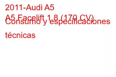 2011-Audi A5
A5 Facelift 1.8 (170 CV) Consumo y especificaciones técnicas