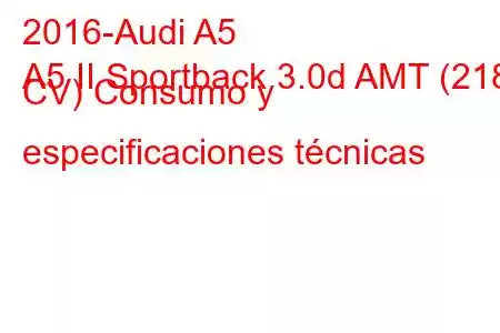 2016-Audi A5
A5 II Sportback 3.0d AMT (218 CV) Consumo y especificaciones técnicas