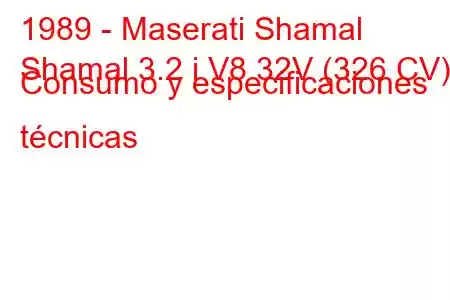 1989 - Maserati Shamal
Shamal 3.2 i V8 32V (326 CV) Consumo y especificaciones técnicas