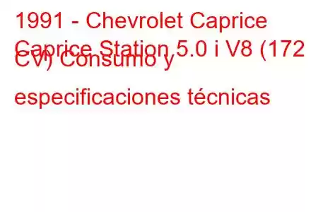 1991 - Chevrolet Caprice
Caprice Station 5.0 i V8 (172 CV) Consumo y especificaciones técnicas