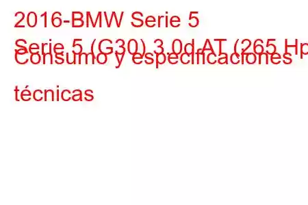 2016-BMW Serie 5
Serie 5 (G30) 3.0d AT (265 Hp) Consumo y especificaciones técnicas