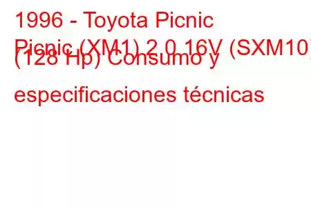 1996 - Toyota Picnic
Picnic (XM1) 2.0 16V (SXM10) (128 Hp) Consumo y especificaciones técnicas