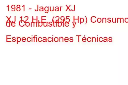 1981 - Jaguar XJ
XJ 12 H.E. (295 Hp) Consumo de Combustible y Especificaciones Técnicas