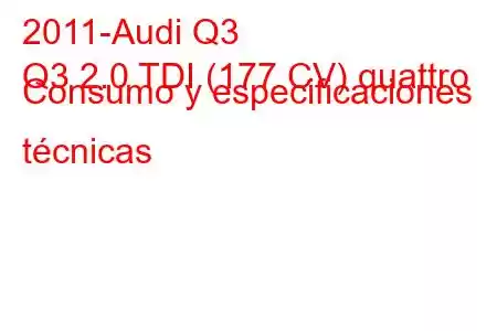 2011-Audi Q3
Q3 2.0 TDI (177 CV) quattro Consumo y especificaciones técnicas