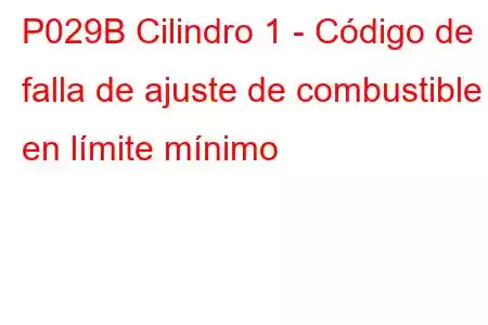 P029B Cilindro 1 - Código de falla de ajuste de combustible en límite mínimo