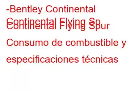 -Bentley Continental
Continental Flying Sp Continental Flying Spur Consumo de combustible y especificaciones técnicas