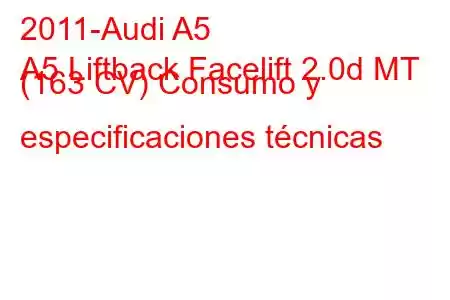 2011-Audi A5
A5 Liftback Facelift 2.0d MT (163 CV) Consumo y especificaciones técnicas