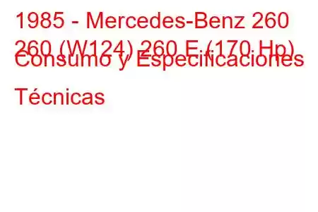 1985 - Mercedes-Benz 260
260 (W124) 260 E (170 Hp) Consumo y Especificaciones Técnicas