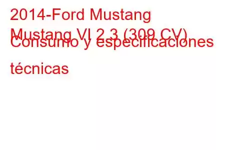 2014-Ford Mustang
Mustang VI 2.3 (309 CV) Consumo y especificaciones técnicas