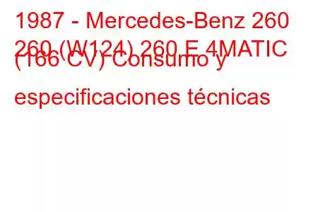 1987 - Mercedes-Benz 260
260 (W124) 260 E 4MATIC (166 CV) Consumo y especificaciones técnicas