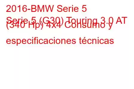 2016-BMW Serie 5
Serie 5 (G30) Touring 3.0 AT (340 Hp) 4x4 Consumo y especificaciones técnicas