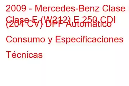 2009 - Mercedes-Benz Clase E
Clase E (W212) E 250 CDI (204 CV) DPF Automático Consumo y Especificaciones Técnicas