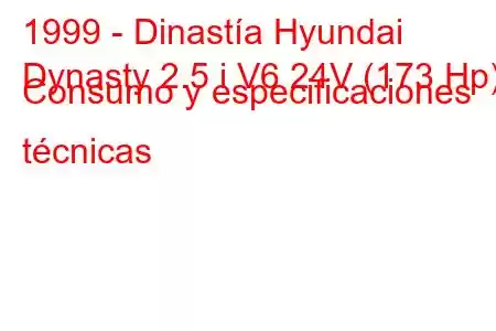 1999 - Dinastía Hyundai
Dynasty 2.5 i V6 24V (173 Hp) Consumo y especificaciones técnicas