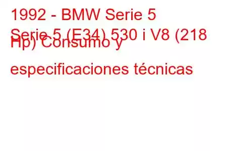 1992 - BMW Serie 5
Serie 5 (E34) 530 i V8 (218 Hp) Consumo y especificaciones técnicas