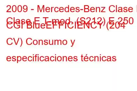 2009 - Mercedes-Benz Clase E
Clase E T-mod. (S212) E 250 CGI BlueEFFICIENCY (204 CV) Consumo y especificaciones técnicas