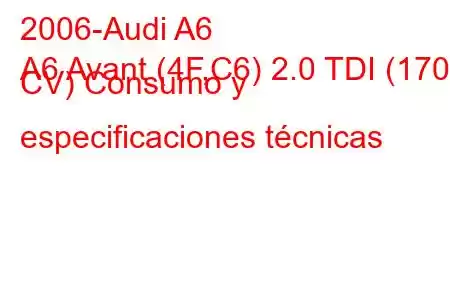 2006-Audi A6
A6 Avant (4F,C6) 2.0 TDI (170 CV) Consumo y especificaciones técnicas