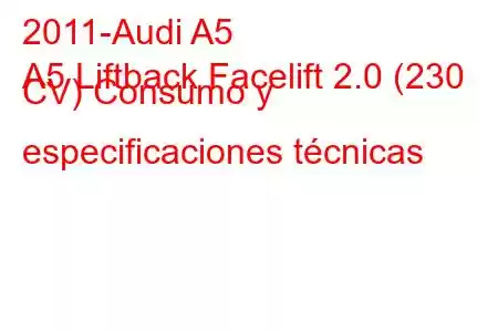 2011-Audi A5
A5 Liftback Facelift 2.0 (230 CV) Consumo y especificaciones técnicas