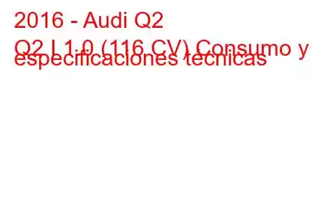 2016 - Audi Q2
Q2 I 1.0 (116 CV) Consumo y especificaciones técnicas