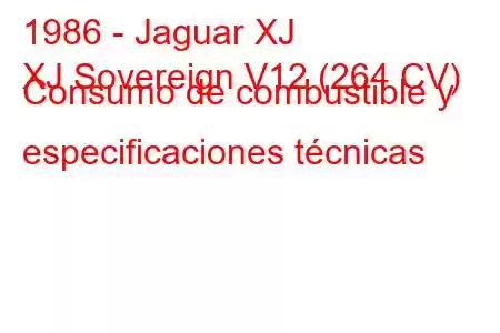 1986 - Jaguar XJ
XJ Sovereign V12 (264 CV) Consumo de combustible y especificaciones técnicas