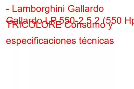 - Lamborghini Gallardo
Gallardo LP 550-2 5.2 (550 Hp) TRICOLORE Consumo y especificaciones técnicas